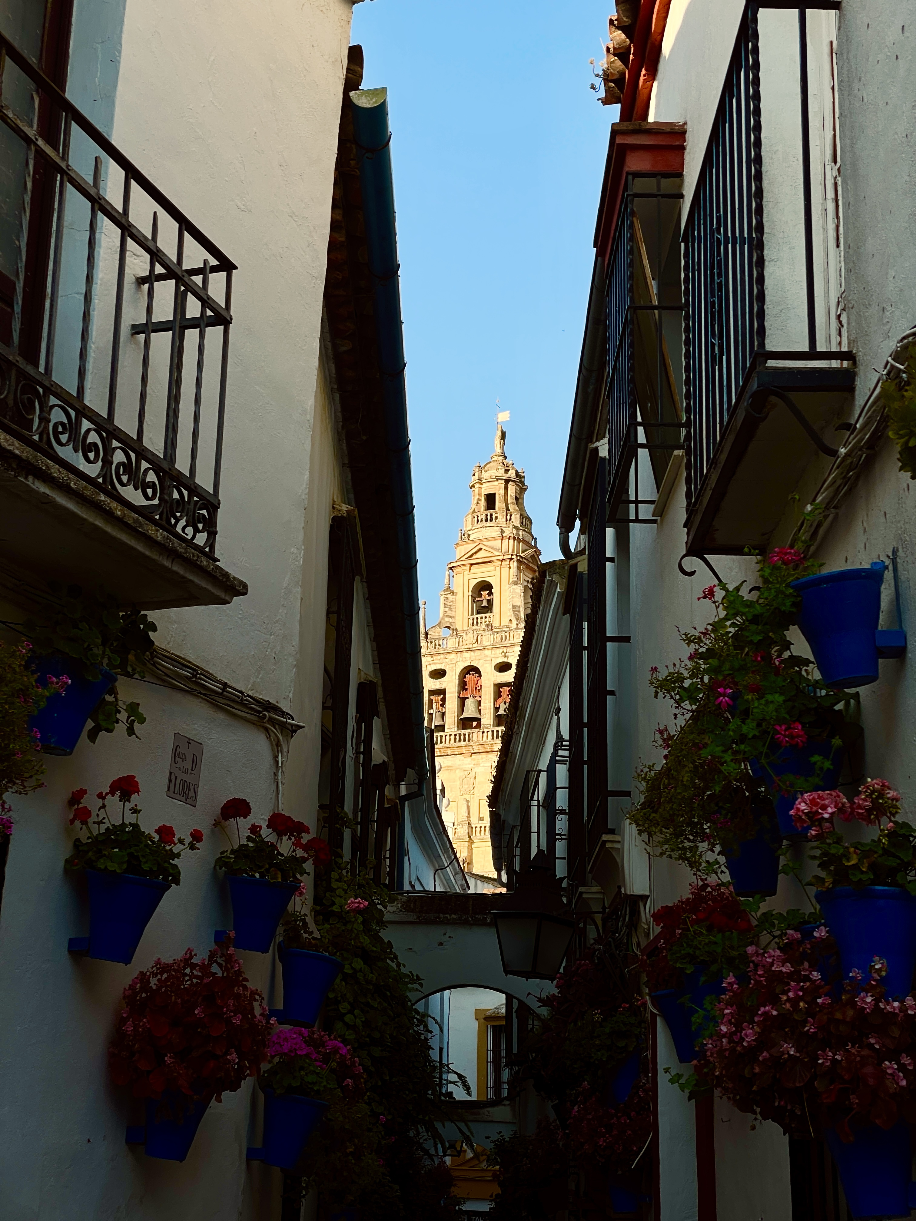 Travel photo 10